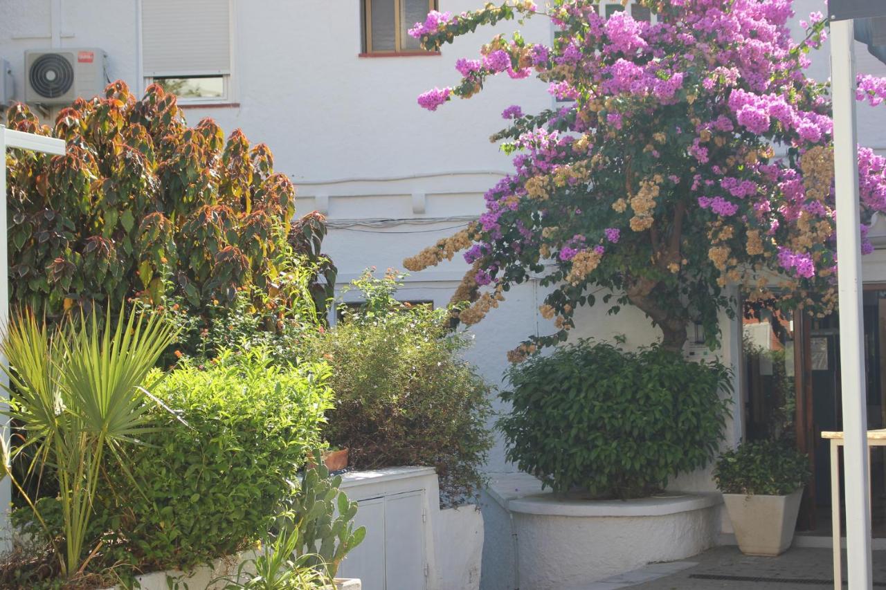 Hotel Patricia توريغواديارو المظهر الخارجي الصورة